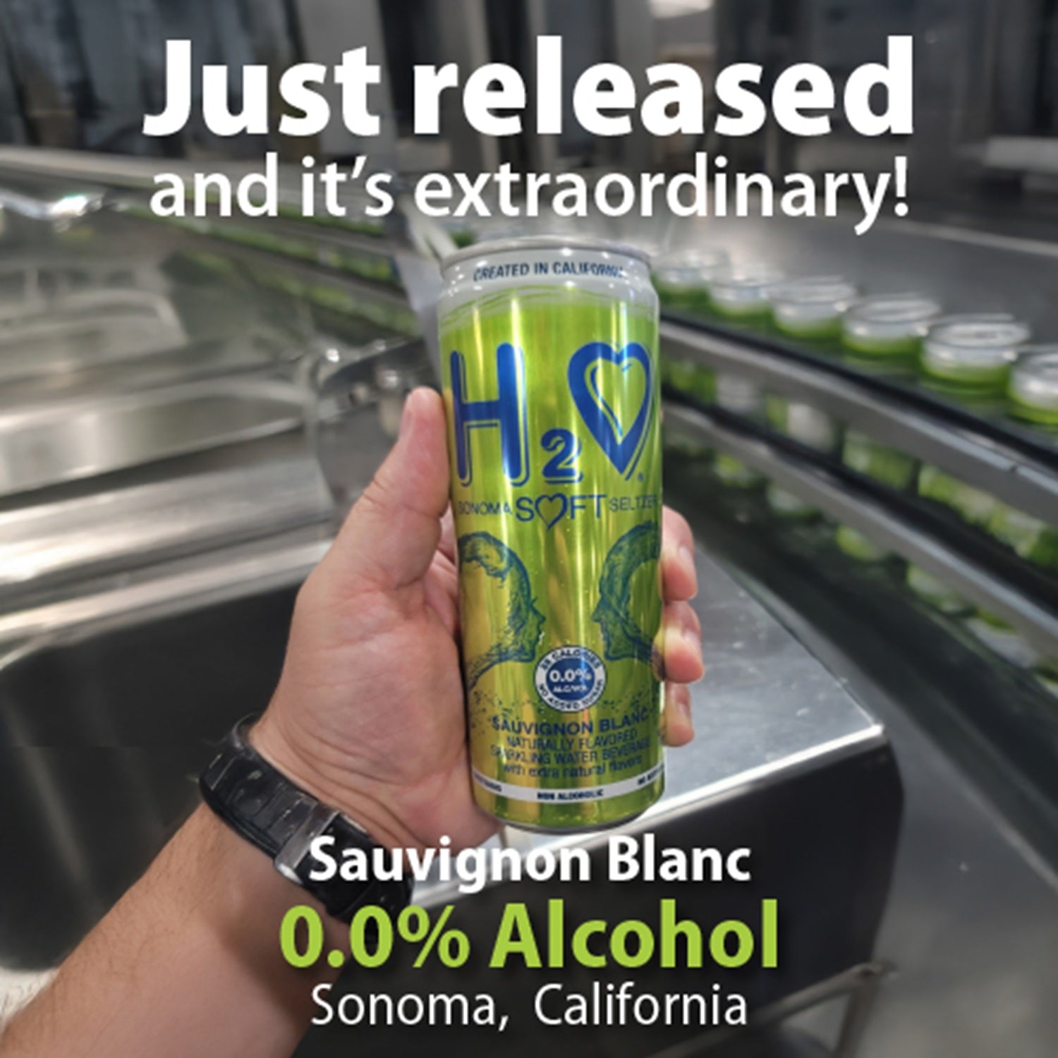0.0% ALC.<br>A Healthier Kind
